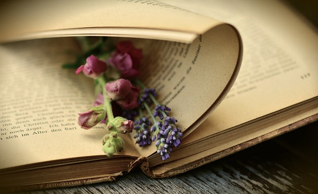 POESÍA Y FOTOGRAFÍA EN UN DIÁLOGO ÍNTIMO