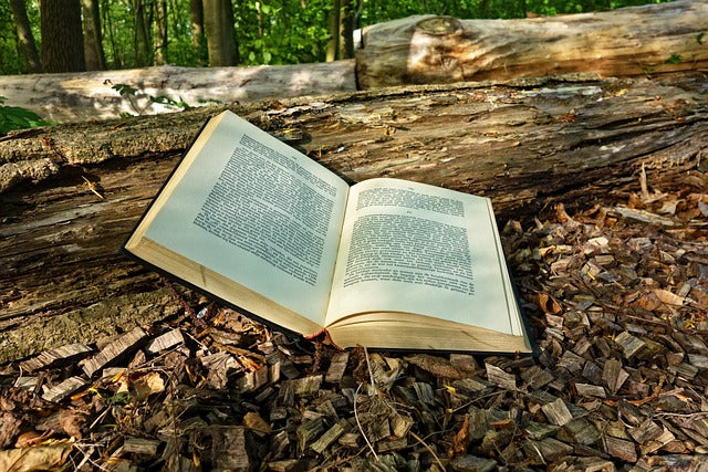 libro posado sobre la tierra abierto por el medio